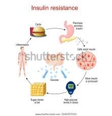 Insulin